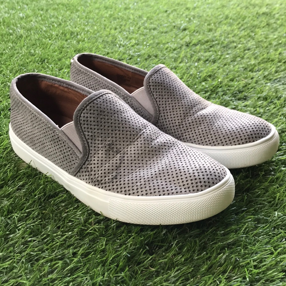 Steve Madden Sneakers